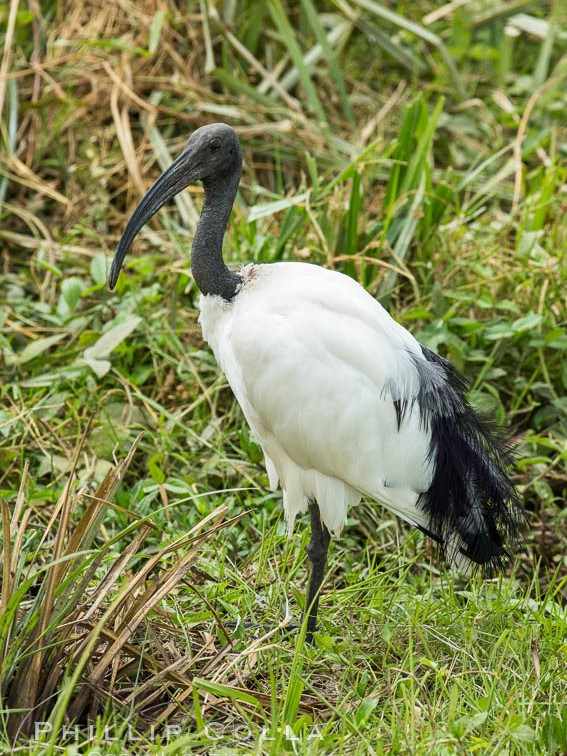 Bird Watching with snapshot tours and safaris